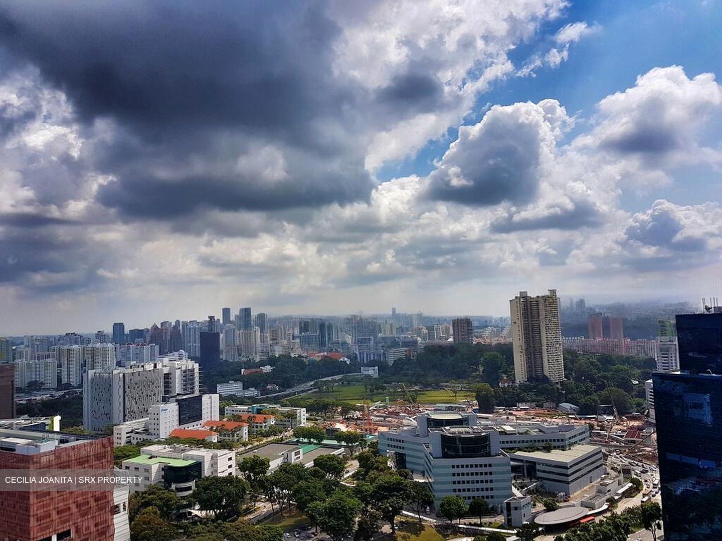 Spottiswoode Suites (D2), Apartment #460668211
